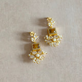 Amal Brown Crystal Drop Earrings