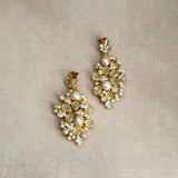 Celeste Grey Crystal Drop Earrings