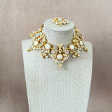 Leona Crystal Pearl Crystal Necklace Set - Ahseya & Co