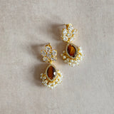 Vida Tiger Eye Crystal Drop Earrings