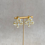 Gabriella Crystals Stud Earrings